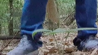 Peeing my pants. In the woods! I had finish my walk with a big pee pee patch.