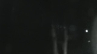 Orino en el parque mientras la gente sale con sus perros a pasear