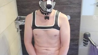 Puppy pisst in der Dusche