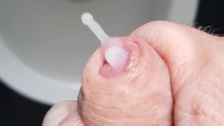 Fast+Hard Cumshot in toilet 🤗