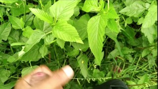 Indian cock beautiful Cumming cumshot💦💦