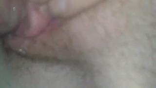 Creamy cream pie