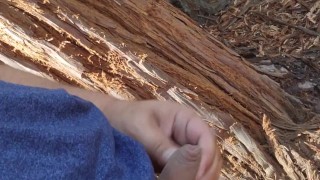 Trail jerk teaser