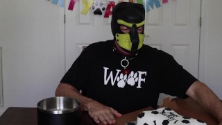 Puppy get a bone cake for their Birthday