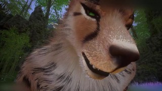 Wildlife Furry Gay Porn (Kral_Rawn)