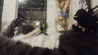 Fursuiter cums using Venus 2000 milking machine