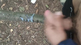 Outdoor 🌲 double shot on wood stick 💦