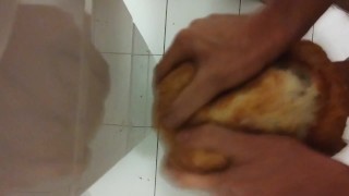 Fucking loaf of Bread