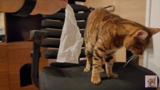 You don't need any special technique to make your pussy happy. We will teach you how to make your ki