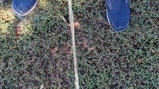 Risky Pissing Outside