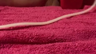 Chubby FTM Trans takes small knot [CREAMPIE]
