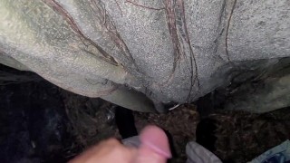 Cumming on br101 exhibicionist brazilian
