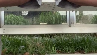 Bustin' at the Bus Stop