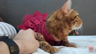 A furry in a dress stares at you on your bed ... .