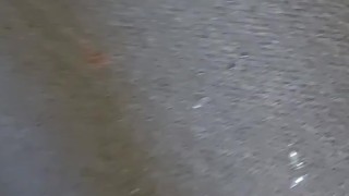 Nut On my new living room floor yesterday 