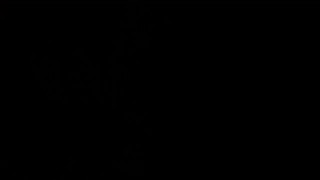 Double dildo penetration and selffuck