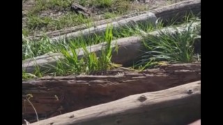 SLOW MOTION johnholmesjunior flashing huge soft cock on nude beach slow motion