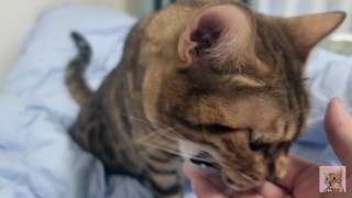Furry kitty in bed.... The bed is sticky with her drool....