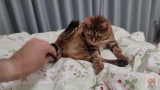 I want you to leave the kitty alone to play by itself ... .