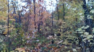 AUTUMN MUSHROOM PISSING 2022