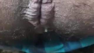 Woods Creampie