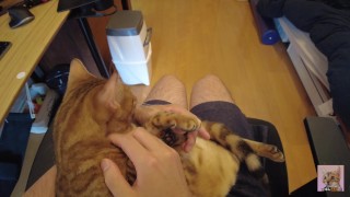 Playing