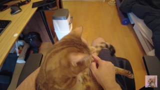 Playing