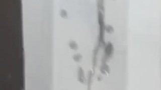 Massive cumshot, hung Twink enjoys himself