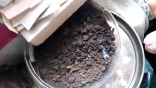 BIG COCK CUM IN CLOSEUP ON THE POT