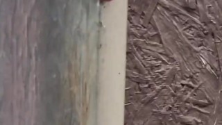 Cum Join Me At This Outdoor Gloryhole So We Can Make A Mess Together Pissing & Cumming Outdoors