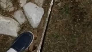Back Yard Night Pissing