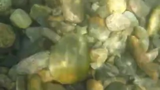 Cum to the beach w me