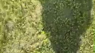 jerking off in public at my favourite park :) cumming in the grass