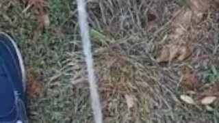 Backyard pissing full video