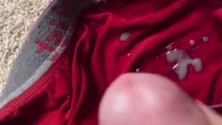 Jerking my big hairy cock and nutting all over my underwear--for sale ;)