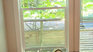 Leaving My Windows Open