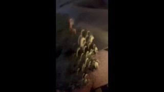 Je me branle passionnément en pensant à elle 