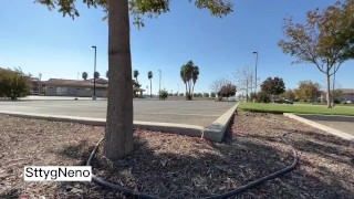 A tour of the city ends with a happy ending