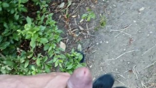 Publicly Jerking it in Budapest suburbs