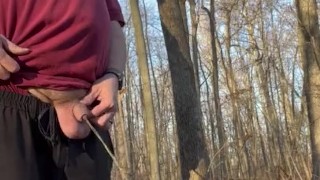 Pissing at the Rest Area 