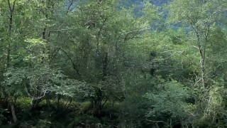 In the river - Vertical HD 60fps