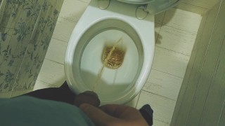 Teen boy pissing in toilet at home / Andris
