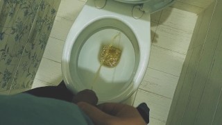 Teen boy pissing in toilet at home / Andris