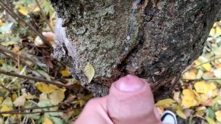 Cumshot on cruiser´s cum on the tree