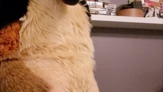 Fursuit watersports and cum!
