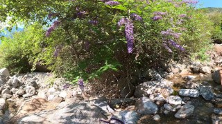 Hilside stream - VR360 5,7k 30fps