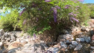 Hilside stream - VR360 5,7k 30fps