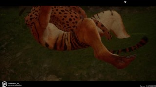 Wildlife Zuri