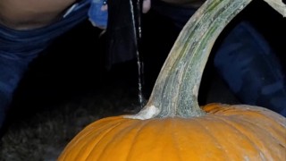 Public Pissing on a Pumpkin in the middle of the Road