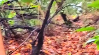 Latin exhibicionist jerking into the woods (masturbating)